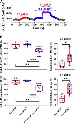 Sildenafil affects the human Kir2.1 and Kir2.2 channels at clinically relevant concentrations: Inhibition potentiated by low Ba2+